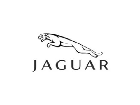 Para Jaguar