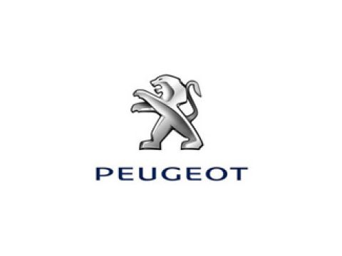 Para Peugeot