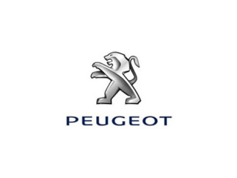 Für Peugeot