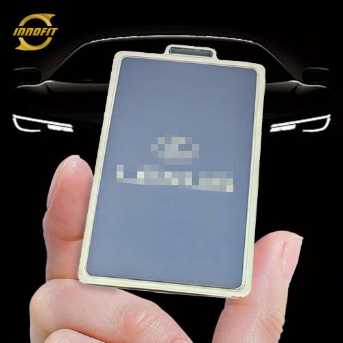 LED1T1-Granny Grey-Silver Plating- Car Key Cover For Lexus