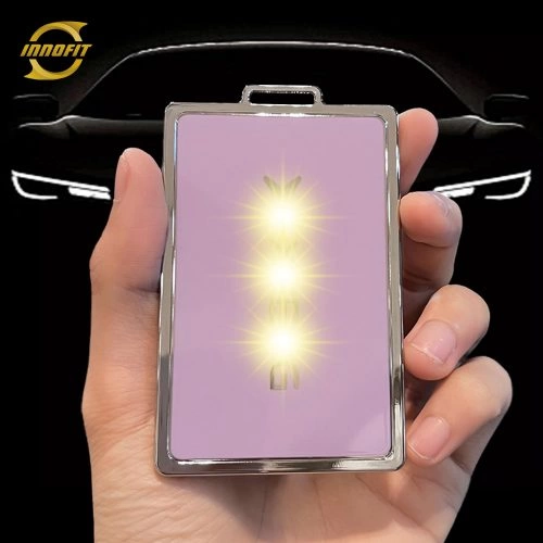 XPC1T1- 보라색-은도금- XPENG 용 자동차 키 커버