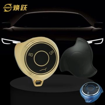 MTA1T1-Black-Gold Plating- Car Key Cover For Neta