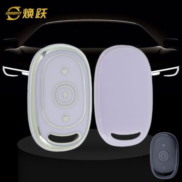 AAB2T1-Purple-Silver Plating- Car Key Cover For Aima