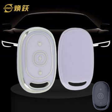 AAB2T1-Purple-Silver Plating- Car Key Cover For Aima