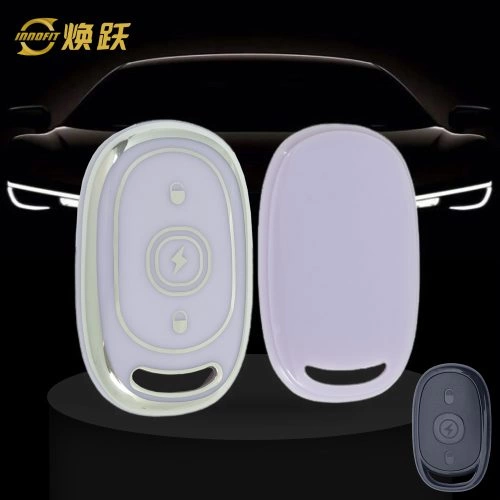 AAB2T1-Purple-Silver Plating- Car Key Cover For Aima